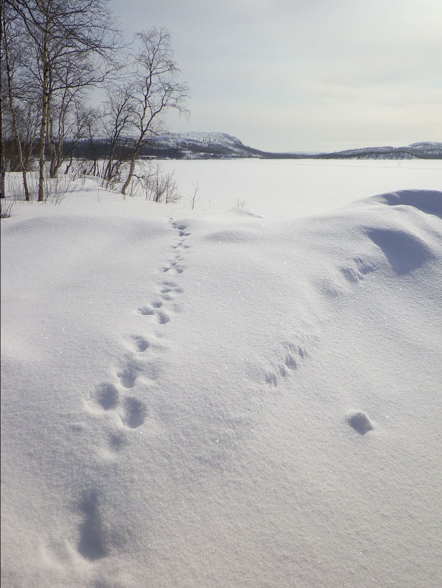 Ice Fishing58